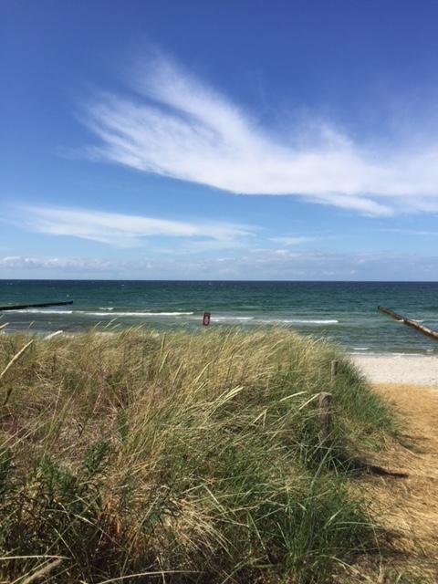 Grosse Kirr Villa Zingst Dış mekan fotoğraf